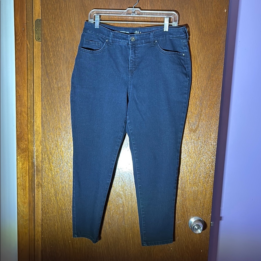 Style & Co Blue Curvy Skinny Jeans Classic Denim